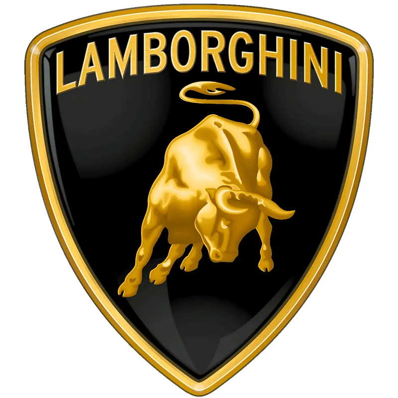 Lamborghini Dash Cams