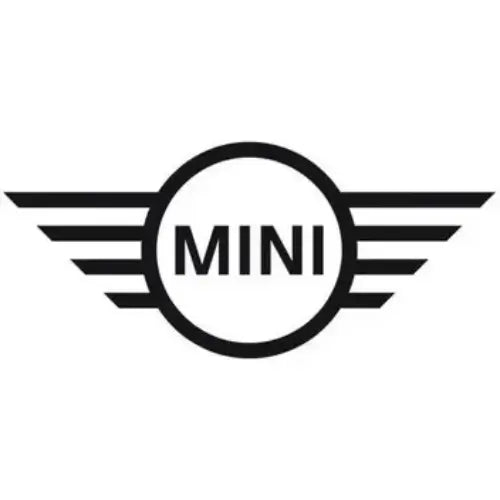 Mini Dash Cams
